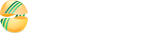 DMSH Group
